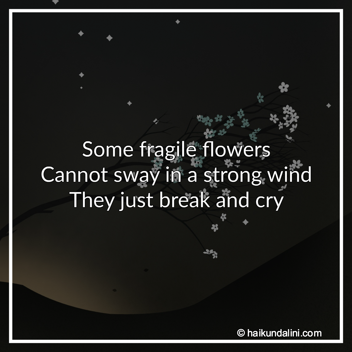 fragile flower